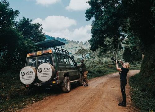 10-Day Day Uganda, Rwanda Gorilla Trekking and Wild Life