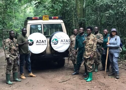 Bwindi Impenetrable Forest