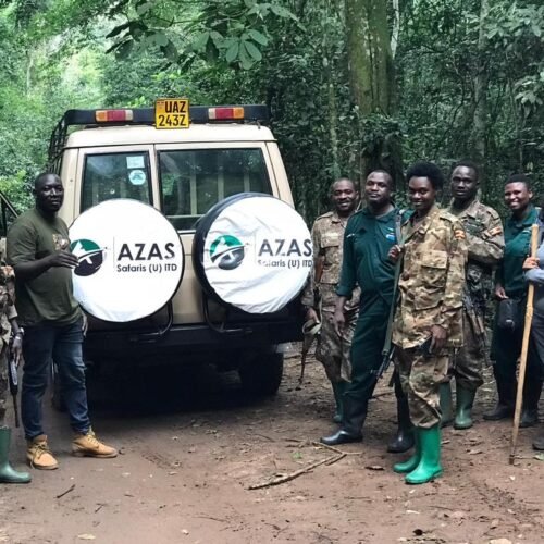 Bwindi Impenetrable Forest